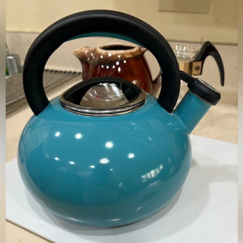Teal Whistling Stovetop Kettle with Black Handle and Spout Cap
